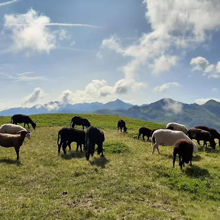 Hotel Hotel-gasthof Andreas Obertilliach