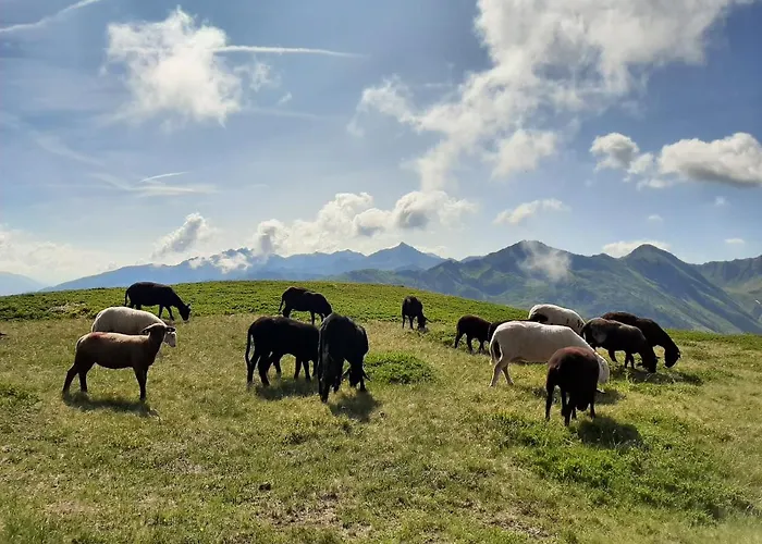 Hotel Hotel-gasthof Andreas Obertilliach